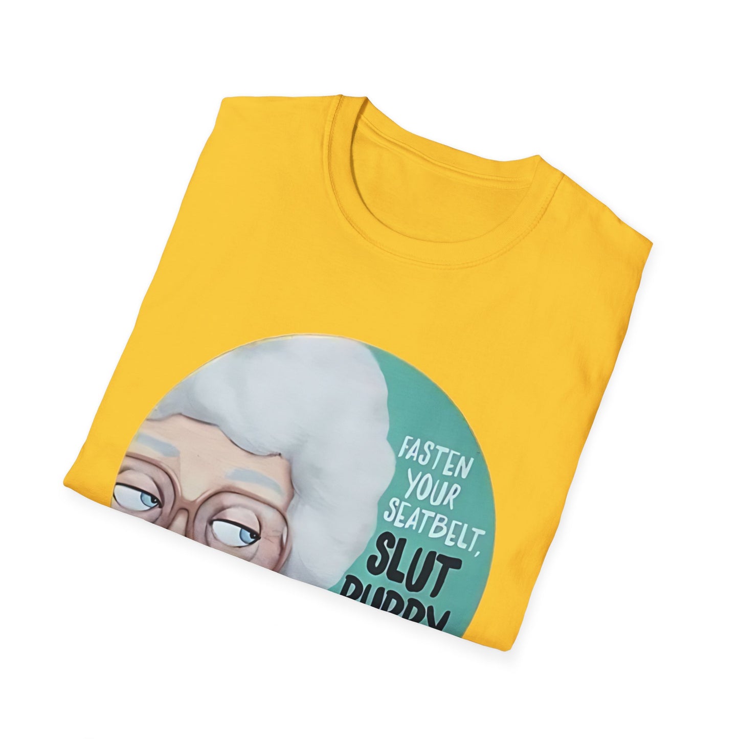 Sarcasm Graphic Tee - Fasten Your Seatbelt This Ain't Gonna Be No CakeWalk